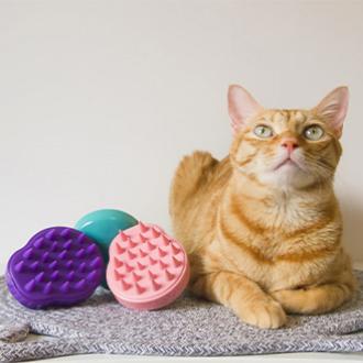 Silicone pet